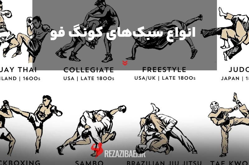 Various-kung-fu-styles