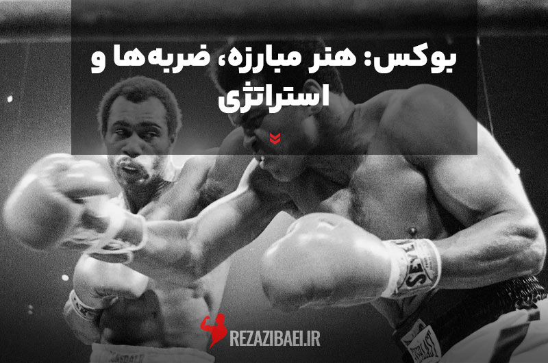 Boxing-The-Art-of-Fighting,-Strikes-and-Strategy