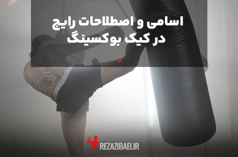Common-names-and-terms-in-kickboxing