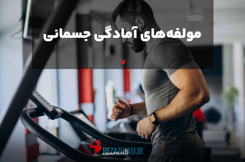 Components-of-physical-fitness