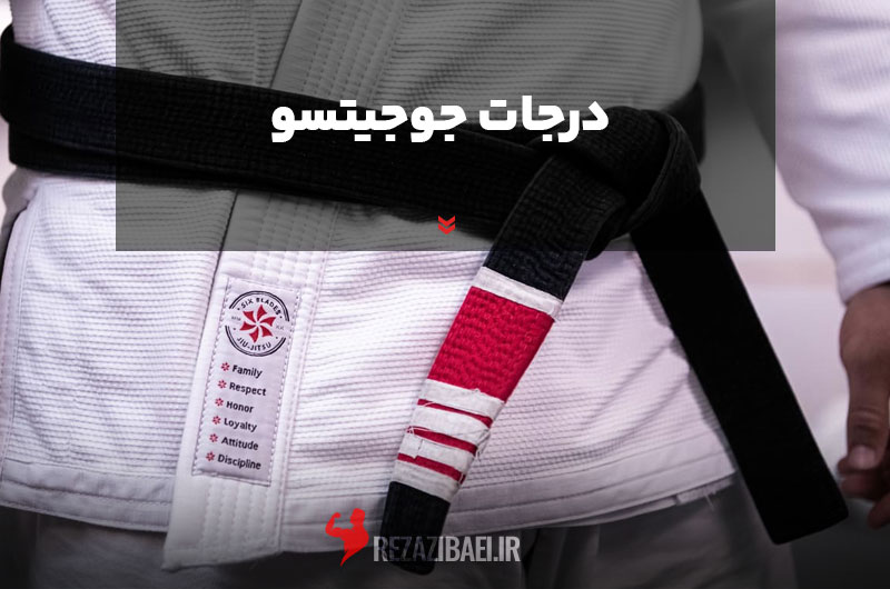 Jiu-jitsu-degrees