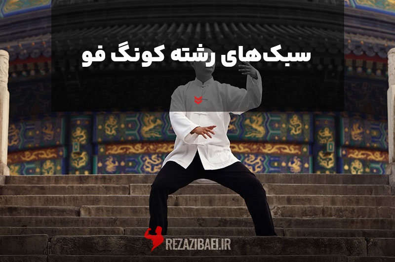 Kung-Fu-styles