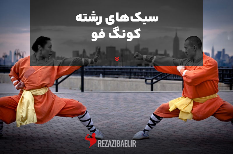 Kung-Fu-styles