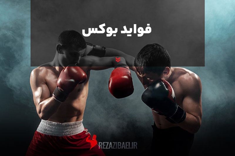 فواید بوکس