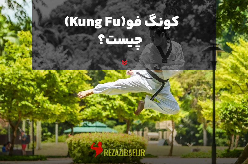 What is Kung Fu