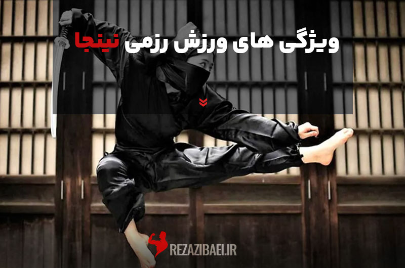 Features-of-ninja-martial-arts