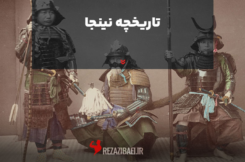 Ninja-history