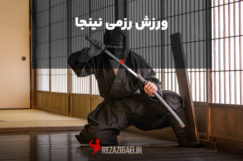 What-is-ninja-sport