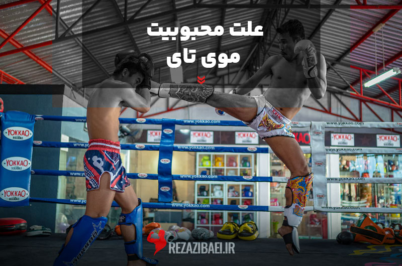 popularity-of-Muay-Thai