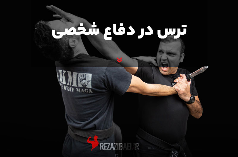 Fear-in-self-defense