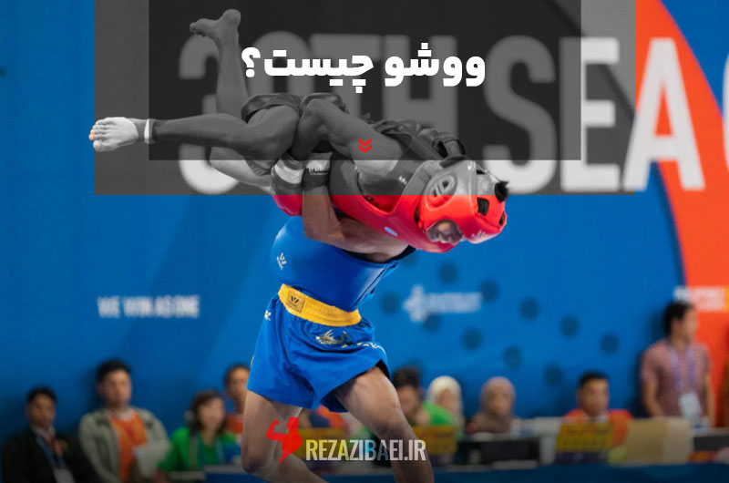 What-is-Wushu