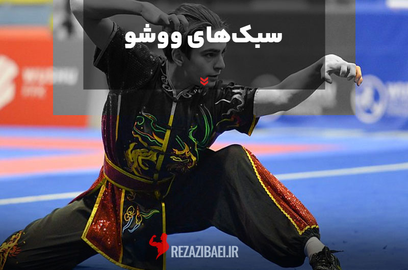Wushu-styles