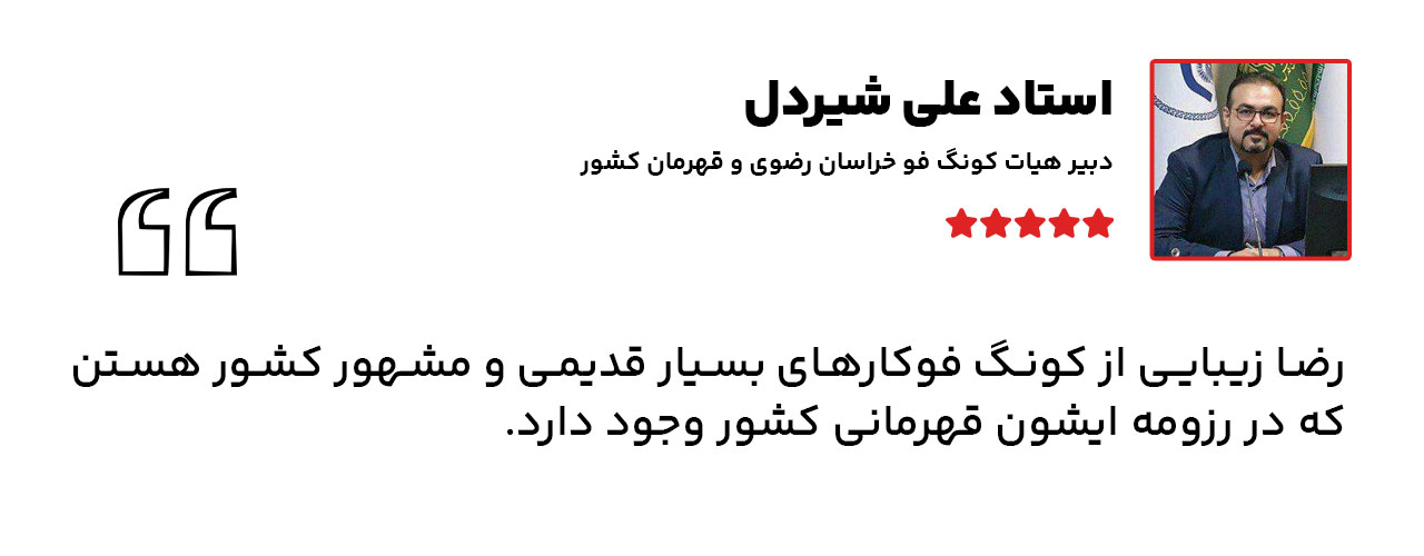 استاد-علی-شیردل-راجع-به-زیبایی
